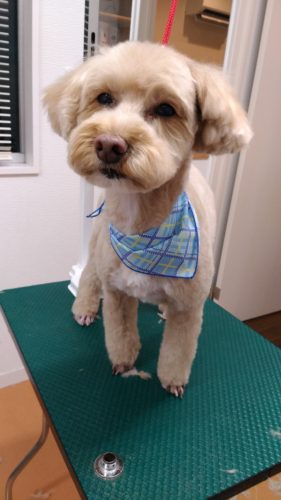 p_20180210_193147_vhdr_auto