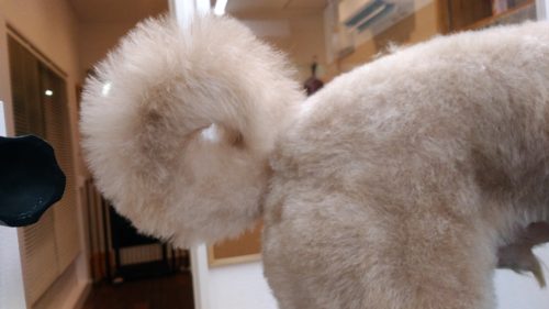 p_20180210_193158_vhdr_auto