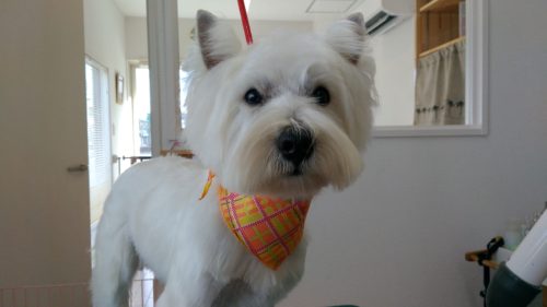 p_20180212_144449_vhdr_auto