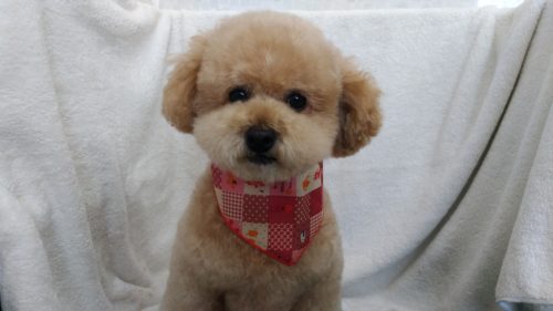 p_20180427_152425_vhdr_auto