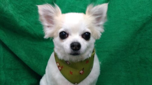 p_20180505_180040_vhdr_auto