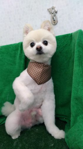 p_20180507_162759_vhdr_auto