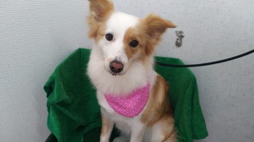 p_20180511_121922_vhdr_auto