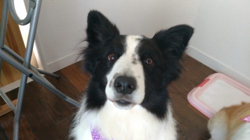 p_20180511_122127_vhdr_auto