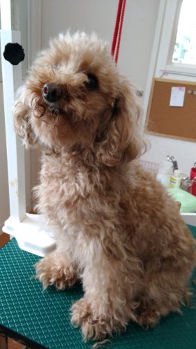 p_20180512_103340_vhdr_auto