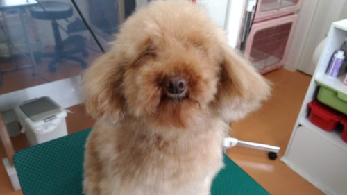 p_20180512_111851_vhdr_auto