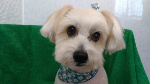 p_20180512_173655_vhdr_auto