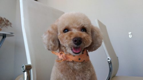 p_20180514_140909_vhdr_auto