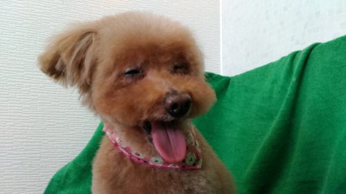 p_20180517_115302_vhdr_auto