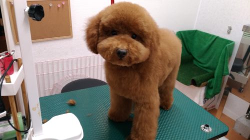 p_20180519_192549_vhdr_auto