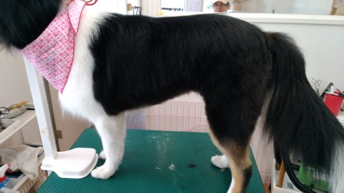 p_20180521_170944_vhdr_auto