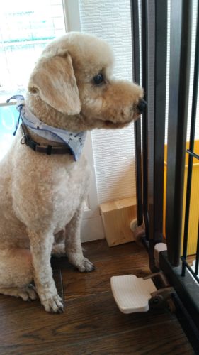 p_20180611_164438_vhdr_auto