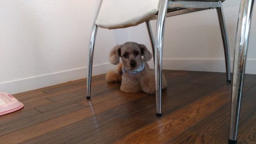 p_20180615_161010_vhdr_auto