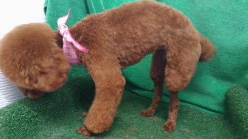 p_20180730_180451_vhdr_auto