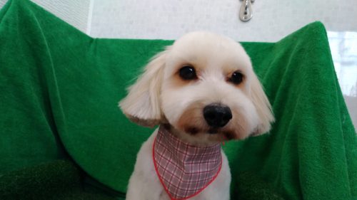 p_20180802_160313_vhdr_auto