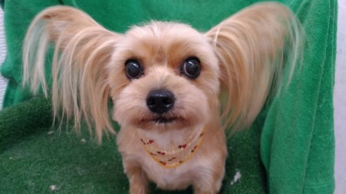 p_20180803_182519_vhdr_auto