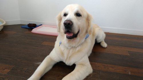 p_20180804_114831_vhdr_auto