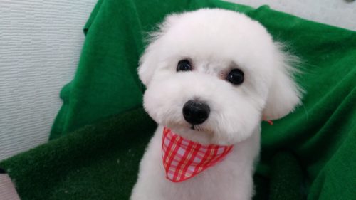 p_20180804_160627_vhdr_auto