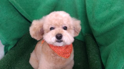 p_20180806_120122_vhdr_auto