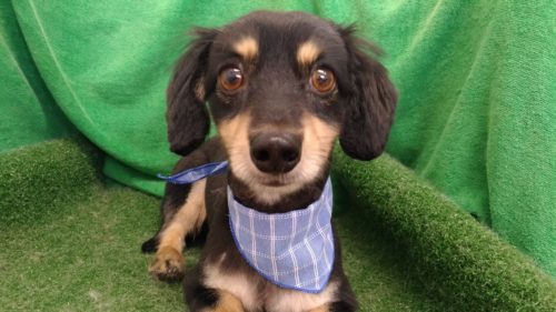 p_20180808_112827_vhdr_auto