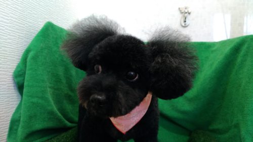 p_20180817_115132_vhdr_auto