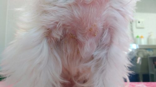 p_20180817_161351_vhdr_auto