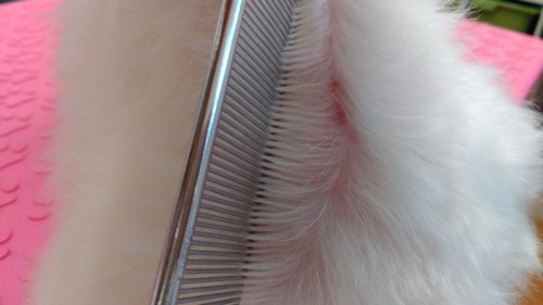 p_20180817_175206_vhdr_auto