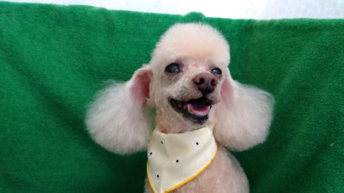 p_20181117_144641_vhdr_auto