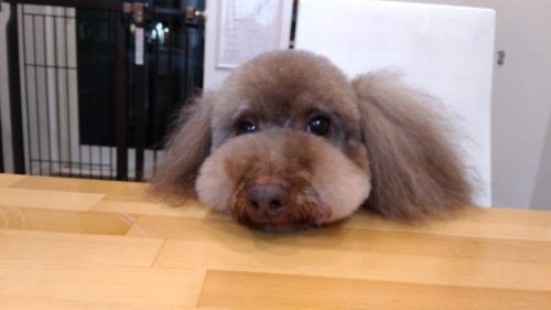 p_20181117_220959_vhdr_auto