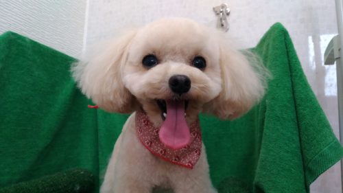 p_20181119_141830_vhdr_auto