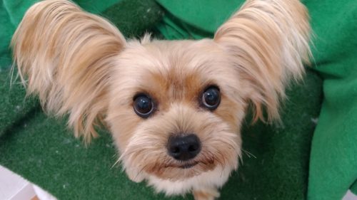 p_20181128_122039_vhdr_auto