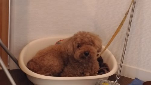 p_20181208_150920_vhdr_auto