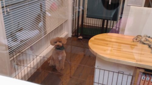 p_20181208_180846_vhdr_auto