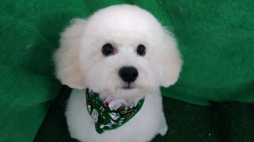 p_20181213_184401_vhdr_auto