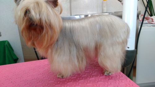 p_20181220_141443_vhdr_auto