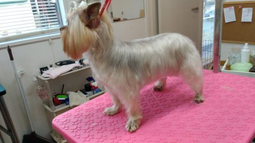 p_20181220_152810_vhdr_auto