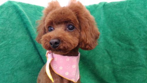 p_20190109_142844_vhdr_auto