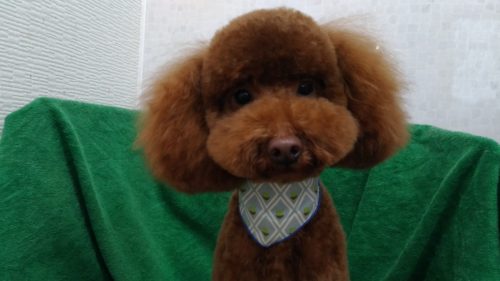 p_20190112_151700_vhdr_auto