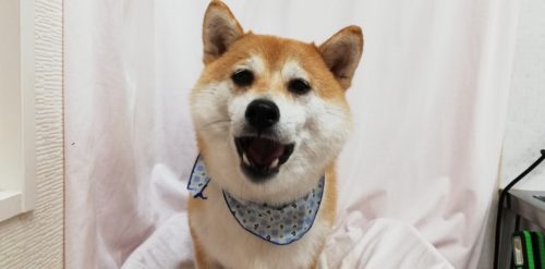 img_20210517_184508_1