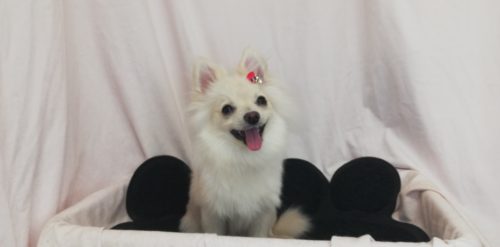 img_20220423_164047_1