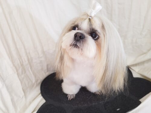 img_20240805_182047_1