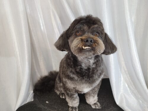 img_20250222_134516_1