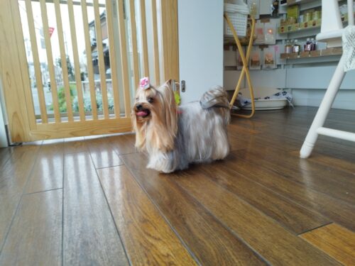 img_20250327_155455_1