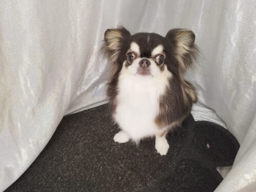 img_20250723_185345_1