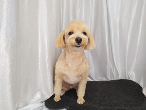 img_20250816_171816_1